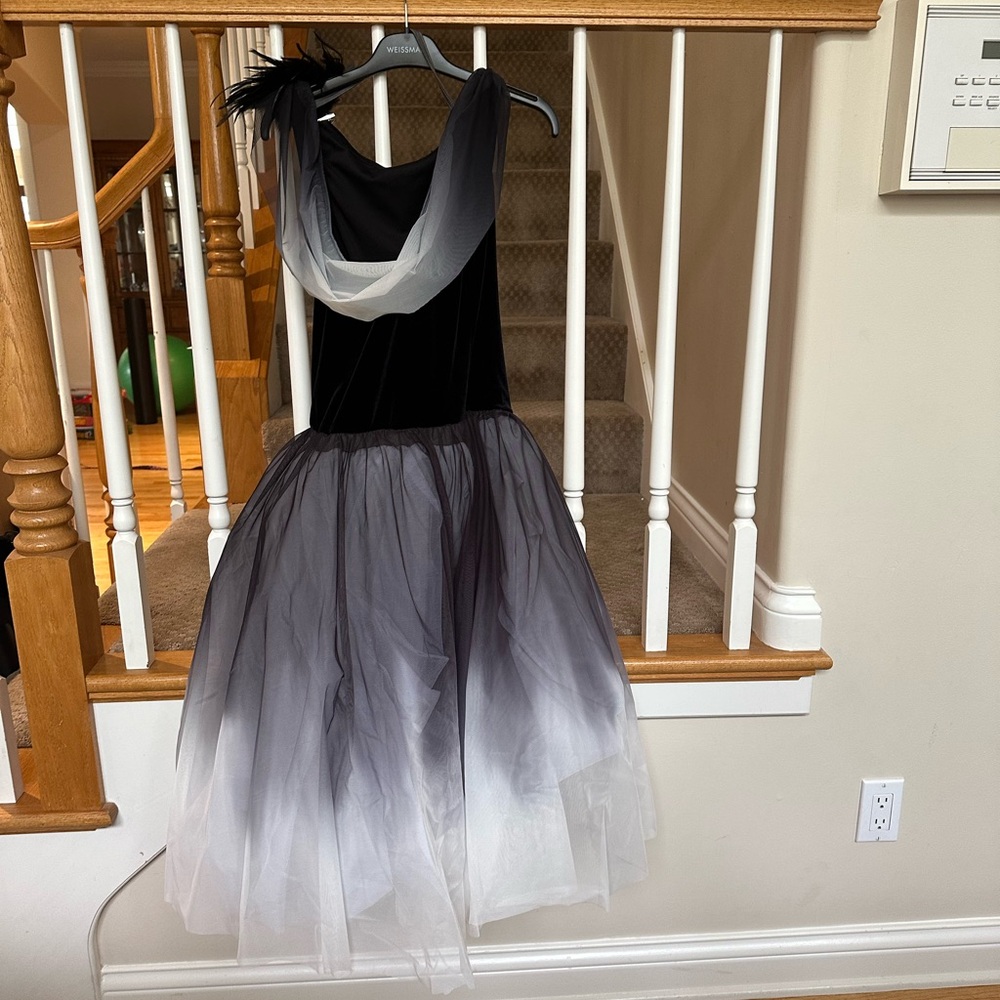 Weissman Ballet Dance Costume - image 2